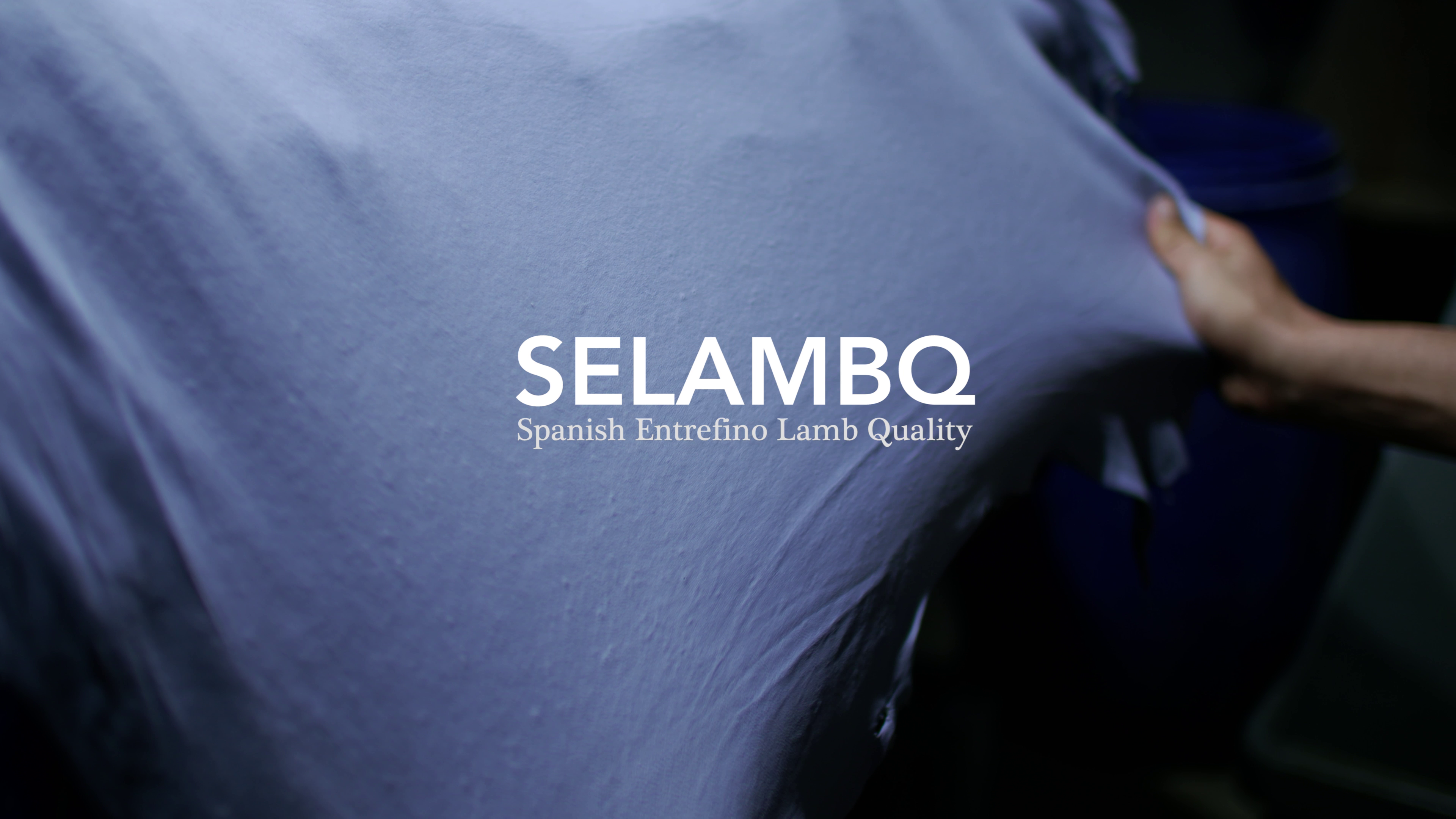 SELAMBQ Conclusiones