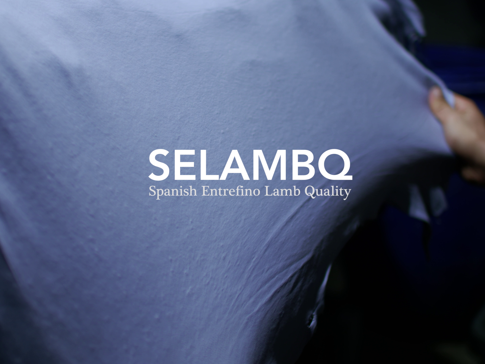 SELAMBQ Conclusiones